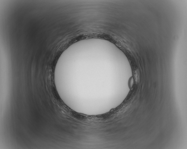 X0000111951059200907271030