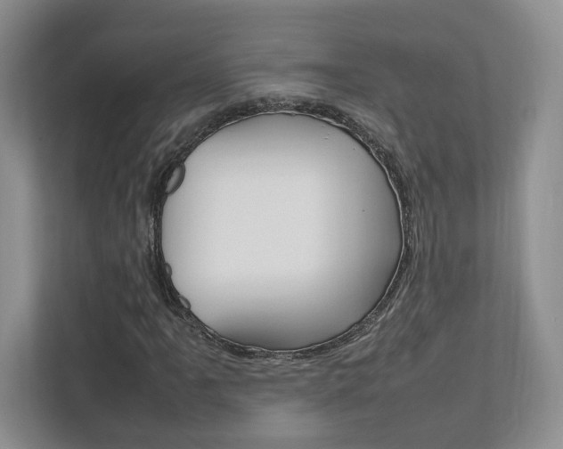 X0000111951061200907271030