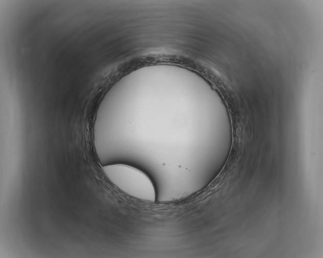 X0000111951062200907271030