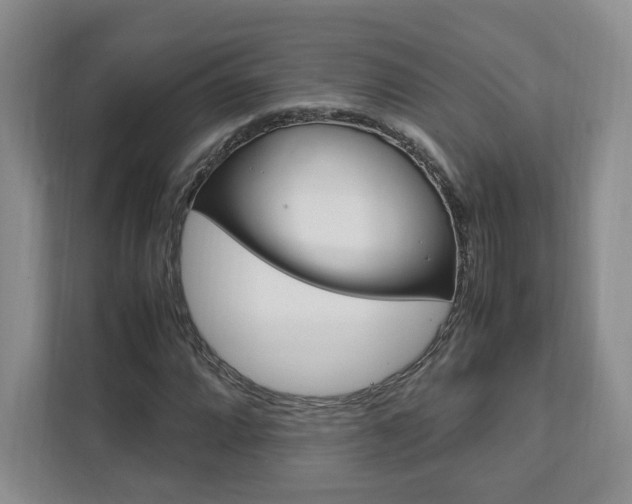 X0000111951064200907271030