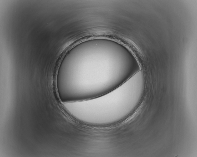 X0000111951065200907271030