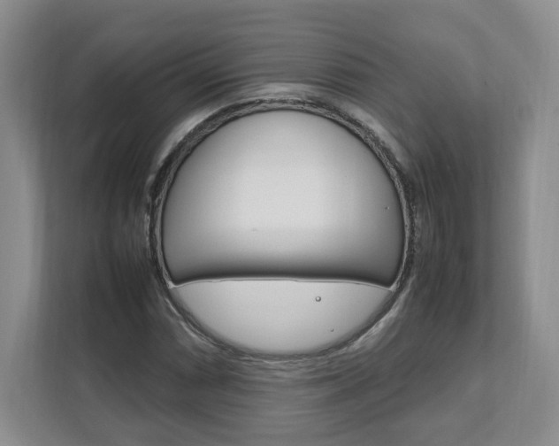 X0000111951066200907271030
