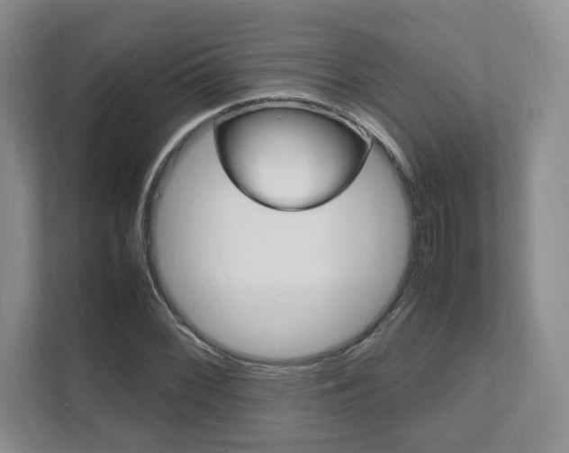 X0000111951068200907271030