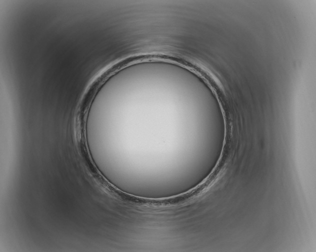 X0000111951069200907271030