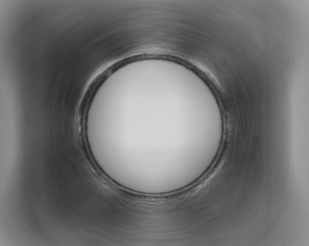 X0000111951070200907271030