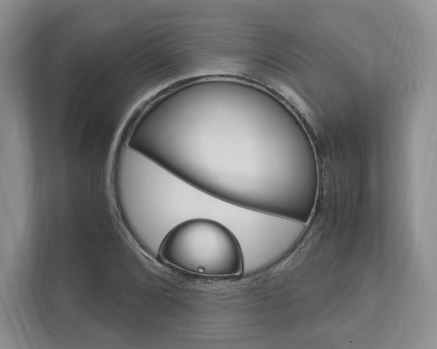 X0000111951072200907271030