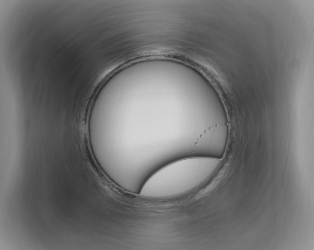 X0000111951073200907271030