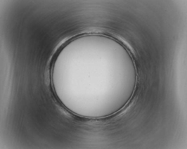 X0000111951075200907271030
