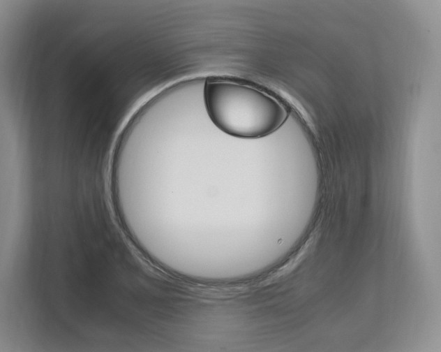 X0000111951077200907271030