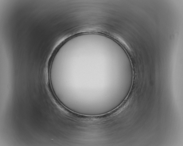 X0000111951079200907271030