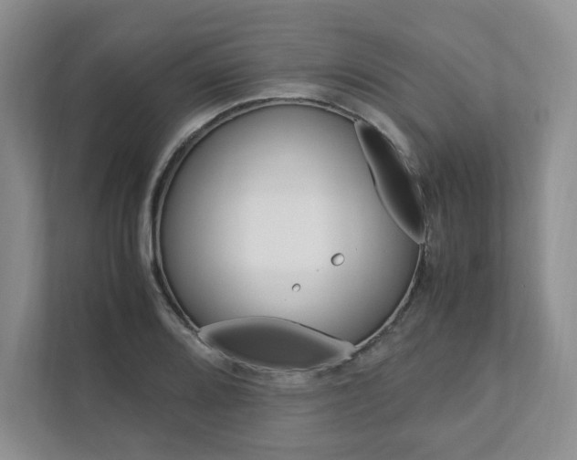 X0000111951080200907271030
