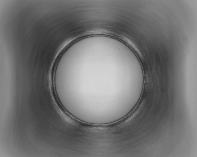 X0000111951082200907271030