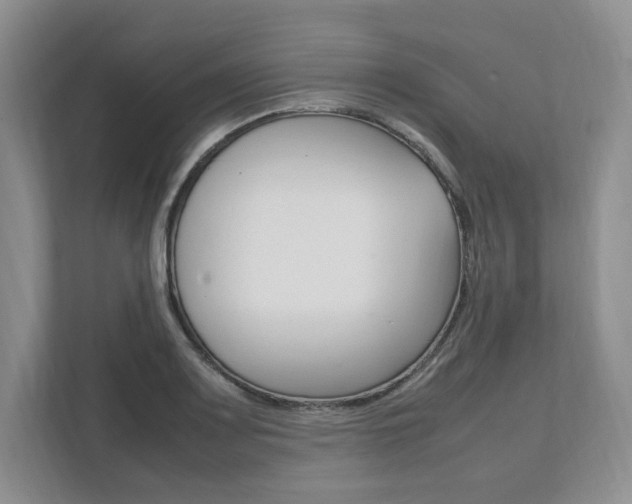 X0000111951083200907271030