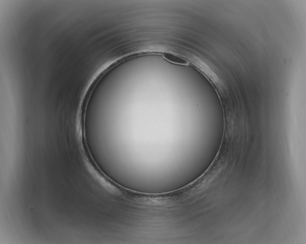 X0000111951084200907271030