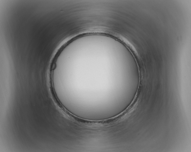 X0000111951085200907271030