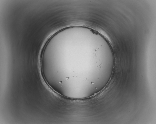 X0000111951088200907271030