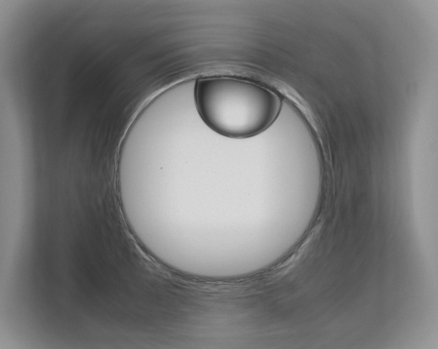 X0000111951089200907271029