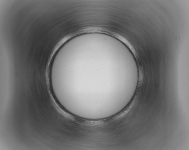 X0000111951090200907271029