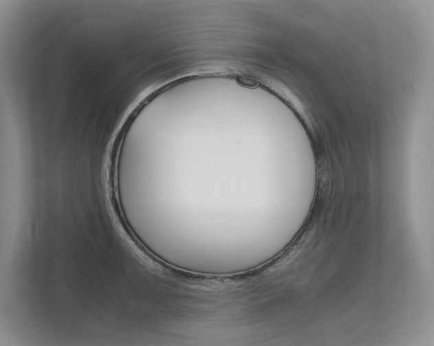 X0000111951091200907271029