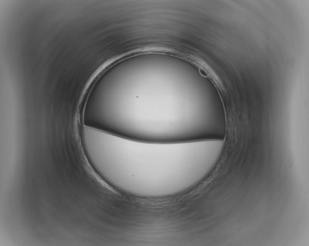X0000111951092200907271029