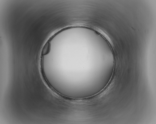 X0000111951093200907271029