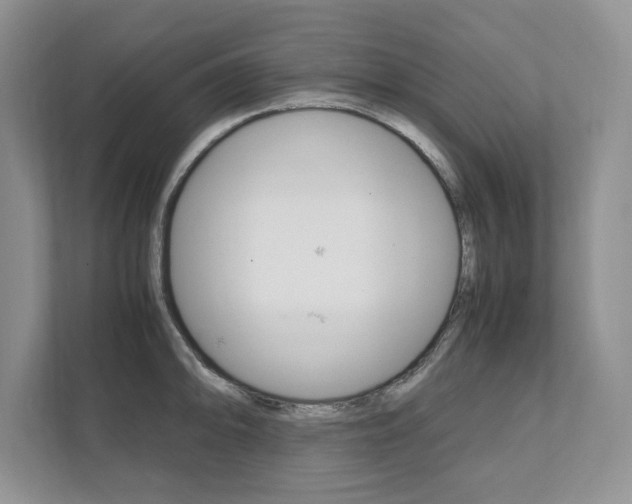 X0000111951094200907271029