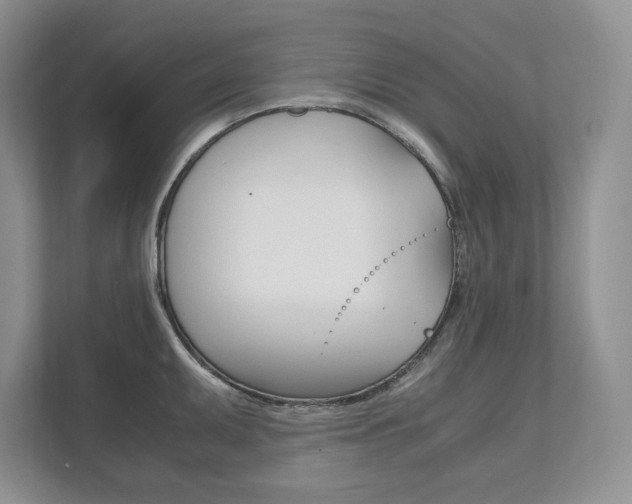 X0000111951095200907271029