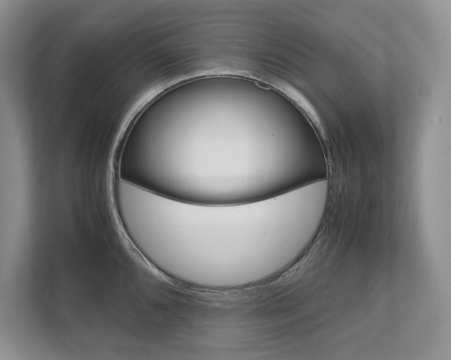 X0000111951096200907271029