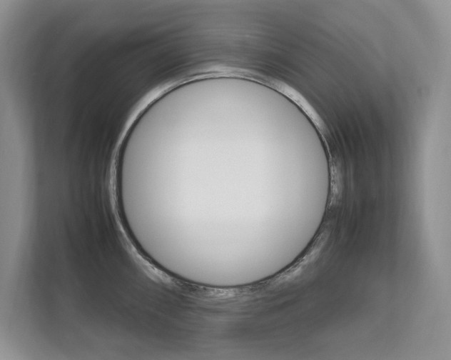 X0000111951098200907271029