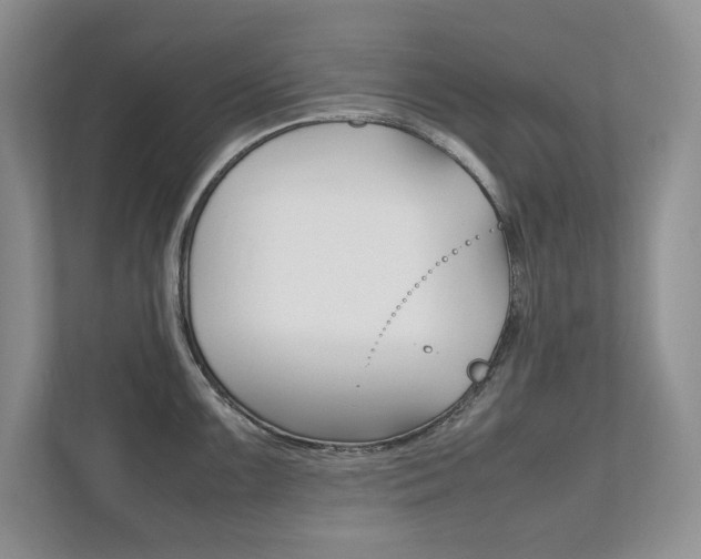 X0000111951099200907271029