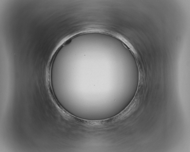 X0000111951101200907271029