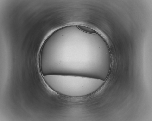 X0000111951102200907271029