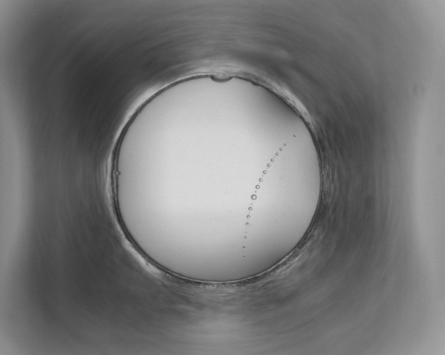 X0000111951103200907271029