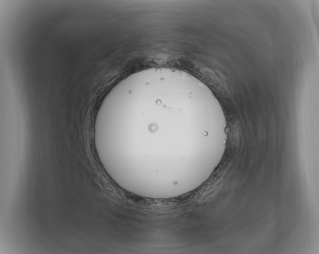 X0000111951105200907271029