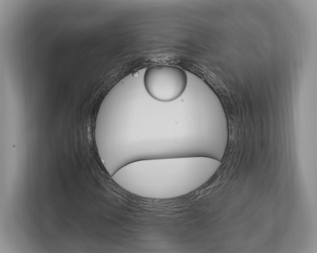 X0000111951106200907271029