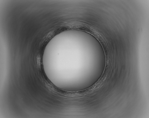 X0000111951108200907271029