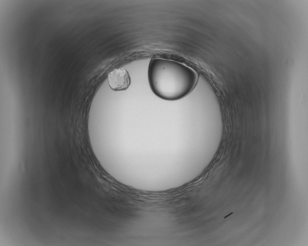 X0000111951110200907271029