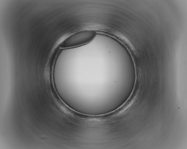 X0000111951114200907271029