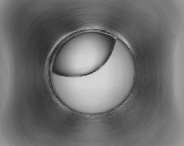 X0000111951116200907271029