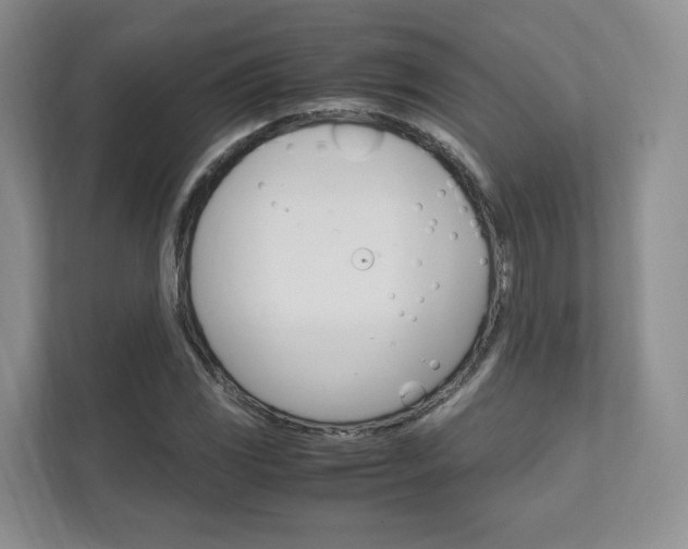 X0000111951117200907271029