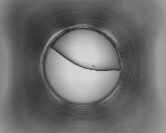 X0000111951119200907271029