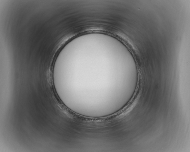 X0000111951121200907271029