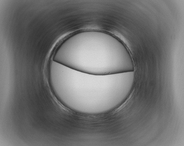 X0000111951123200907271029