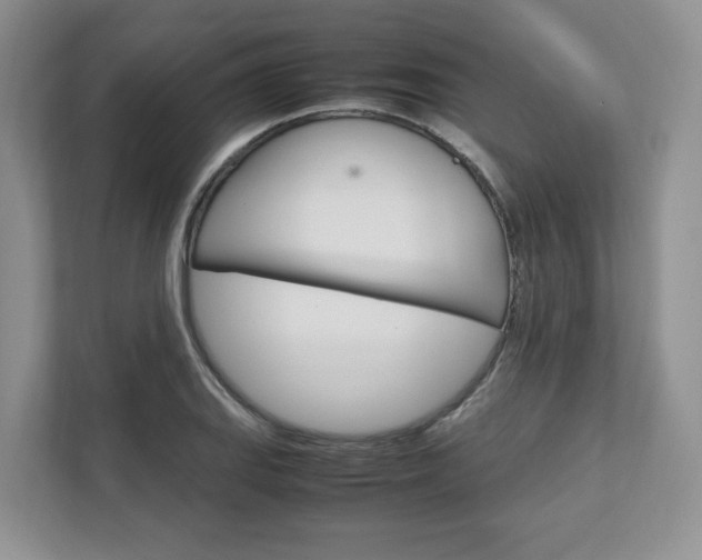 X0000111951127200907271029