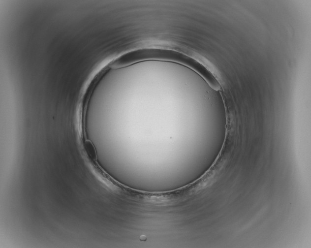 X0000111951128200907271029