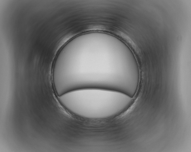 X0000111951129200907271029