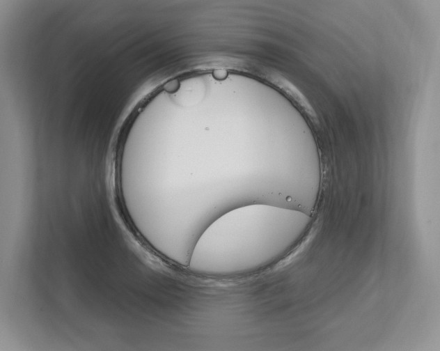 X0000111951130200907271029