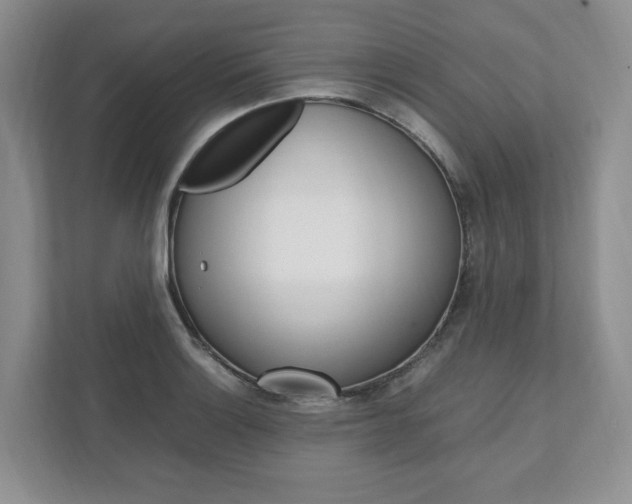 X0000111951132200907271029