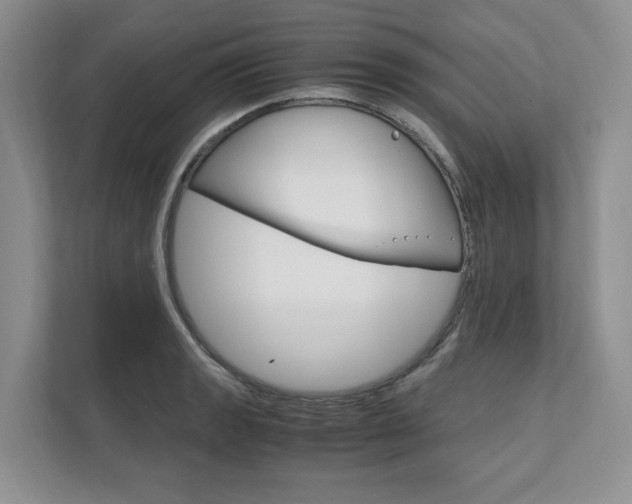 X0000111951133200907271029