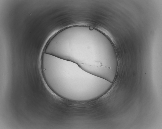 X0000111951135200907271029